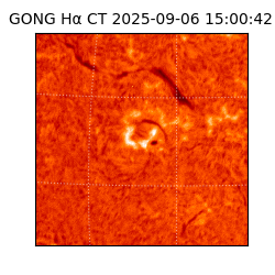 gong - 2025-09-06T15:00:42