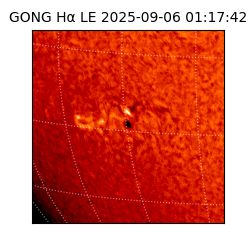 gong - 2025-09-06T01:17:42