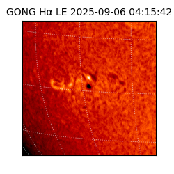 gong - 2025-09-06T04:15:42