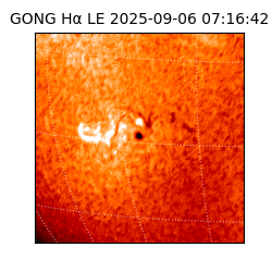 gong - 2025-09-06T07:16:42