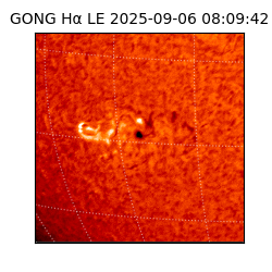 gong - 2025-09-06T08:09:42