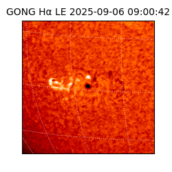 gong - 2025-09-06T09:00:42