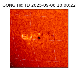 gong - 2025-09-06T10:00:22