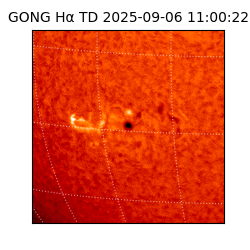 gong - 2025-09-06T11:00:22