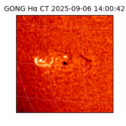 gong - 2025-09-06T14:00:42