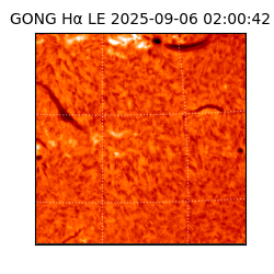 gong - 2025-09-06T02:00:42