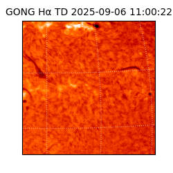 gong - 2025-09-06T11:00:22