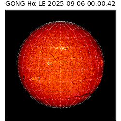 gong - 2025-09-06T00:00:42