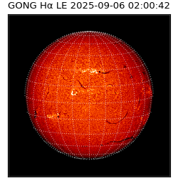 gong - 2025-09-06T02:00:42