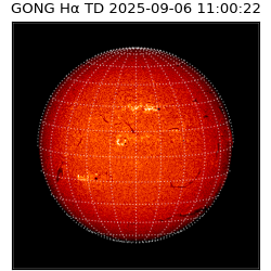 gong - 2025-09-06T11:00:22