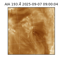 saia - 2025-09-07T09:00:04.846000