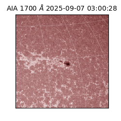 saia - 2025-09-07T03:00:28.718000