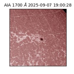 saia - 2025-09-07T19:00:28.719000