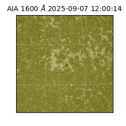 saia - 2025-09-07T12:00:14.126000