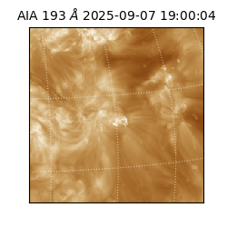 saia - 2025-09-07T19:00:04.835000
