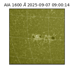 saia - 2025-09-07T09:00:14.130000