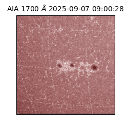 saia - 2025-09-07T09:00:28.717000