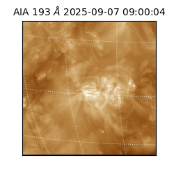 saia - 2025-09-07T09:00:04.846000