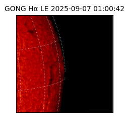 gong - 2025-09-07T01:00:42