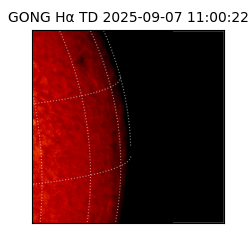 gong - 2025-09-07T11:00:22