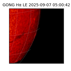 gong - 2025-09-07T05:00:42