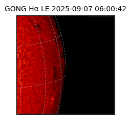 gong - 2025-09-07T06:00:42