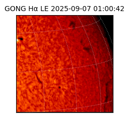 gong - 2025-09-07T01:00:42