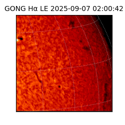 gong - 2025-09-07T02:00:42