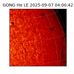 gong - 2025-09-07T04:00:42