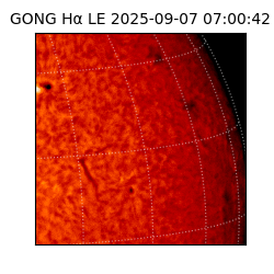 gong - 2025-09-07T07:00:42