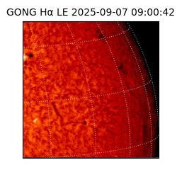 gong - 2025-09-07T09:00:42