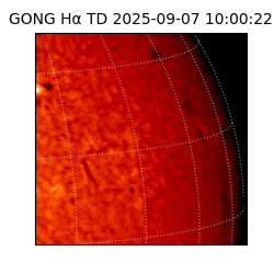 gong - 2025-09-07T10:00:22