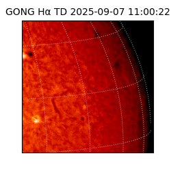 gong - 2025-09-07T11:00:22