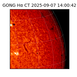 gong - 2025-09-07T14:00:42