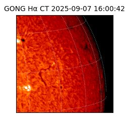 gong - 2025-09-07T16:00:42