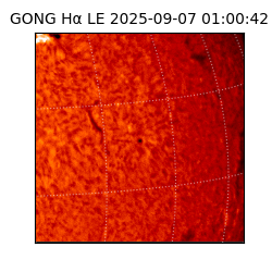 gong - 2025-09-07T01:00:42