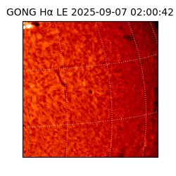 gong - 2025-09-07T02:00:42