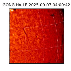 gong - 2025-09-07T04:00:42