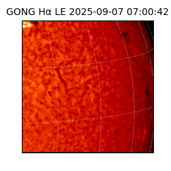 gong - 2025-09-07T07:00:42
