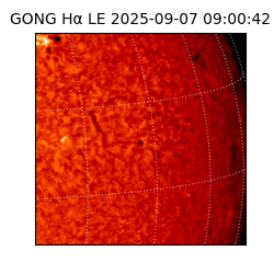 gong - 2025-09-07T09:00:42