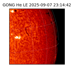 gong - 2025-09-07T23:14:42