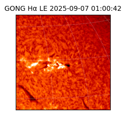 gong - 2025-09-07T01:00:42