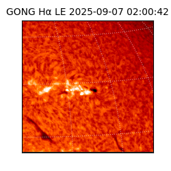 gong - 2025-09-07T02:00:42