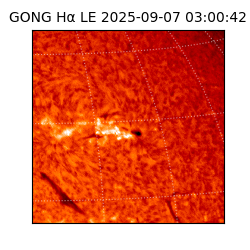 gong - 2025-09-07T03:00:42