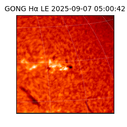 gong - 2025-09-07T05:00:42