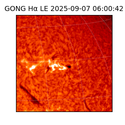 gong - 2025-09-07T06:00:42