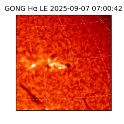 gong - 2025-09-07T07:00:42