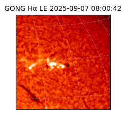 gong - 2025-09-07T08:00:42