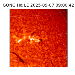 gong - 2025-09-07T09:00:42