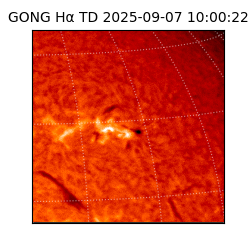 gong - 2025-09-07T10:00:22